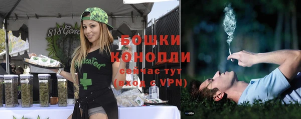 молекула духа Белокуриха