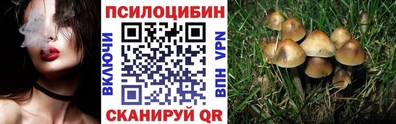 мега как войти  Трёхгорный  Псилоцибиновые грибы GOLDEN TEACHER 
